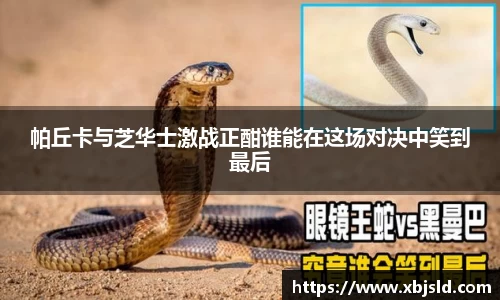 帕丘卡与芝华士激战正酣谁能在这场对决中笑到最后